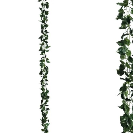 ΓΙΡΛΑΝΤΑ ΠΟΘΟΣ ΠΡΑΣΙΝΟ/ΚΙΤΡΙΝΟ ΑΛΥΣΙΔΑ Υ270cm 1/120ΚΙΒ – Ταιριάζει σε κάθε μοντέρνο ή επαγγελματικό χώρο | iroots.gr