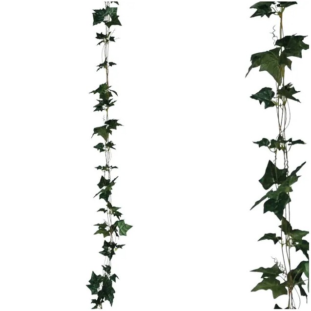 ΓΙΡΛΑΝΤΑ ΚΙΣΣΟΣ ΠΡΑΣΙΝΟ X3 - Y270cm 1/132ΚΙΒ – Αναβαθμίζει άμεσα τον χώρο σου | iroots.gr