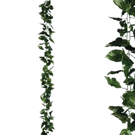 ΓΙΡΛΑΝΤΑ ΠΟΘΟΣ ΔΙΧΡΩΜΟΣ ΑΛΥΣΙΔΑ Y270cm 1/96ΚΙΒ – Δημιουργεί αίσθηση πολυτέλειας χωρίς κόπο | iroots.gr