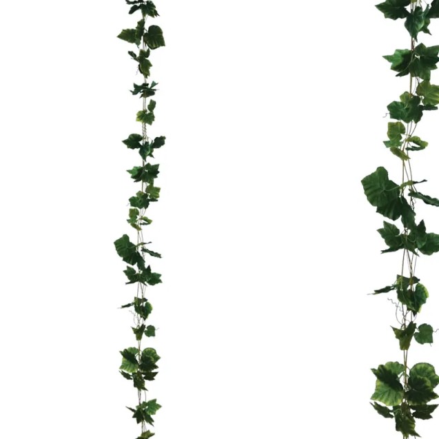 ΓΙΡΛΑΝΤΑ ΠΡΑΣΙΝΟ ΚΙΣΣΟΣ ΠΛΑΤΥΦΥΛΛΟΣ X3 - Υ270cm 1/132ΚΙΒ – Δημιουργεί αίσθηση πολυτέλειας χωρίς κόπο | iroots.gr