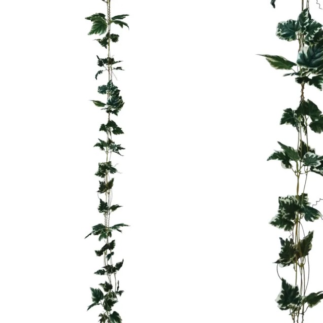 ΓΙΡΛΑΝΤΑ ΔΙΧΡΩΜΟ ΠΡΑΣΙΝΟ ΚΙΣΣΟΣ Χ3 - Υ270cm 1/132ΚΙΒ – Προσφέρει μοναδική αισθητική | iroots.gr