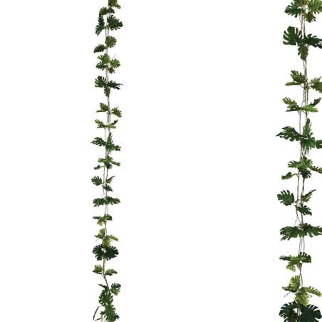 ΓΙΡΛΑΝΤΑ ΠΡΑΣΙΝΟ ΜΟΝΣΤΕΡΑ Χ3 - Υ270cm 1/132ΚΙΒ – Αναβαθμίζει άμεσα τον χώρο σου | iroots.gr