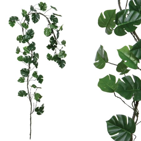 ΓΙΡΛΑΝΤΑ ΚΛΑΡΑ ΜΕ ΣΚΟΥΡΑ ΠΡΑΣΙΝΑ ΣΧΙΣΤΟΦΥΛΛΑ - Υ240cm 160/ΚΙΒ – Δίνει premium χαρακτήρα στο περιβάλλον | iroots.gr