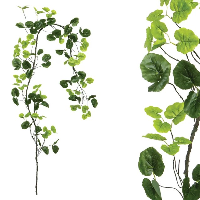 ΓΙΡΛΑΝΤΑ ΚΛΑΡΑ ΜΕ ΠΡΑΣΙΝΑ ΦΥΛΛΑ - Υ240cm 160/ΚΙΒ – Ταιριάζει σε κάθε μοντέρνο ή επαγγελματικό χώρο | iroots.gr