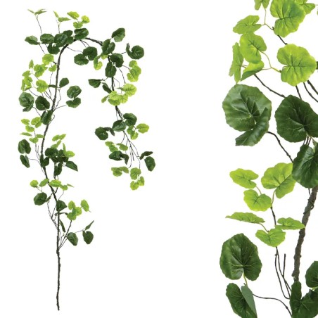 ΓΙΡΛΑΝΤΑ ΚΛΑΡΑ ΜΕ ΠΡΑΣΙΝΑ ΦΥΛΛΑ - Υ240cm 160/ΚΙΒ – Ταιριάζει σε κάθε μοντέρνο ή επαγγελματικό χώρο | iroots.gr