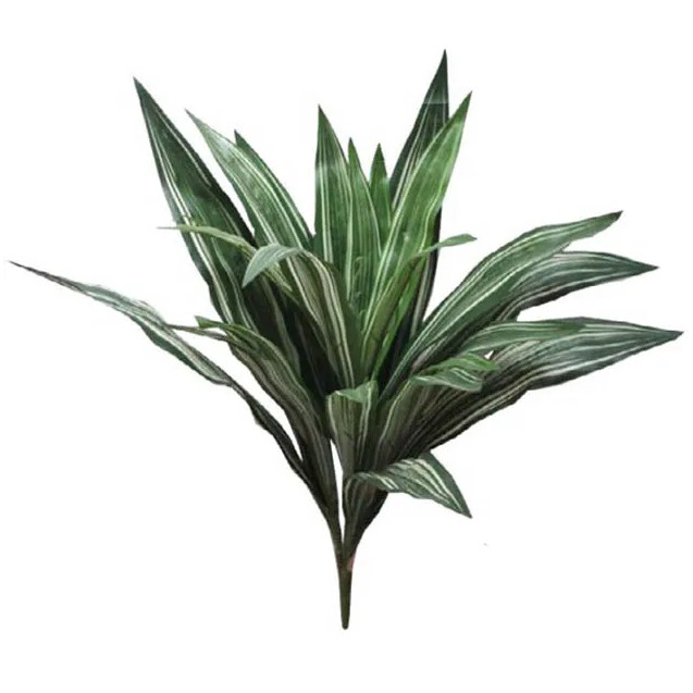 ΦΥΛΛΟ ΡΙΖΑ Y30cm. 32/216ΚΙΒ