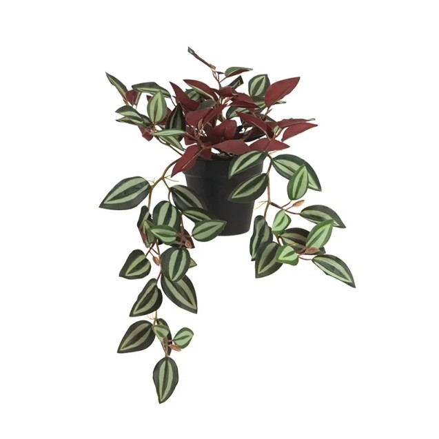 ΦΥΤΟ ΤΗΛΕΓΡΑΦΟΣ ΖΕΜΠΡΙΝΑ ΜΩΒ REAL TOUCH - Y42cm 1/12KIB – Ταιριάζει σε κάθε μοντέρνο ή επαγγελματικό χώρο | iroots.gr