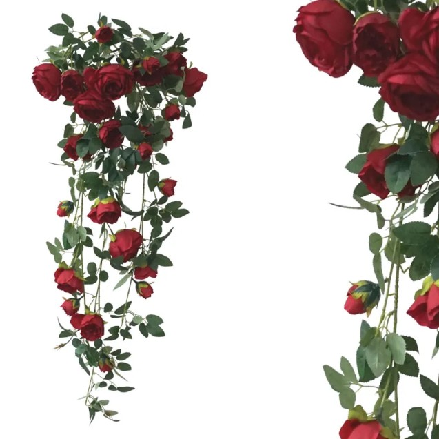 ΡΙΖΑ ΚΡΕΜΑΣΤΗ KOKKINEΣ ΝΕΡΑΓΚΟΥΛΕΣ - Υ100cm 24/120ΚΙΒ – Δίνει premium χαρακτήρα στο περιβάλλον | iroots.gr