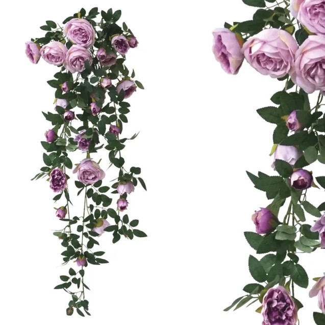 ΡΙΖΑ ΚΡΕΜΑΣΤΗ ΛΙΛΑ ΝΕΡΑΓΚΟΥΛΕΣ - Υ100cm 24/120ΚΙΒ – Προσφέρει μοναδική αισθητική | iroots.gr