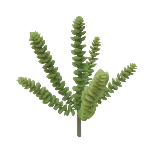 ΡΙΖΑ ΠΑΧΥΦΥΤΟ ΣΕΔΟ ΠΡΑΣΙΝΟ - Υ24cm 24/240ΚΙΒ – Προσφέρει μοναδική αισθητική | iroots.gr