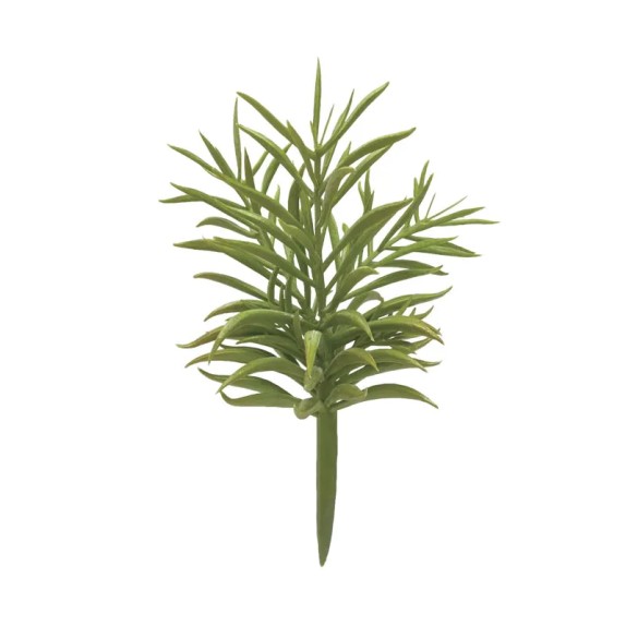 ΡΙΖΑ ΠΑΧΥΦΥΤΟ ΚΡΑΣΟΥΛΑ ΠΡΑΣΙΝΟ - Υ22cm 24/144ΚΙΒ – Αναβαθμίζει άμεσα τον χώρο σου | iroots.gr