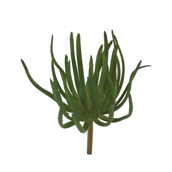 ΡΙΖΑ ΠΑΧΥΦΥΤΟ ΧΩΝΕΥΤΟ ΠΡΑΣΙΝΟ - Y21cm 24/240ΚIB – Προσφέρει μοναδική αισθητική | iroots.gr