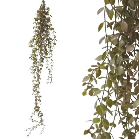 ΡΙΖΑ ΚΡΕΜΑΣΤΗ ΠΡΑΣΙΝΟ ΓΚΡΑΣ ΔΙΧΡΩΜΟ Υ90-102cm 48/144ΚΙΒ – Δημιουργεί αίσθηση πολυτέλειας χωρίς κόπο | iroots.gr