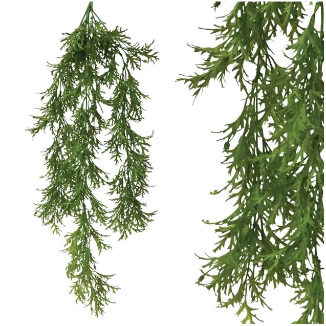 ΡΙΖΑ ΚΡΕΜΑΣΤΗ ΑΓΡΙΟΧΟΡΤΟ ΠΡΑΣΙΝΗ 35x82cm 24/96KIB – Δημιουργεί αίσθηση πολυτέλειας χωρίς κόπο | iroots.gr