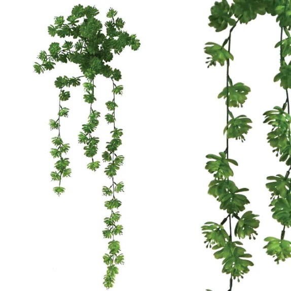 ΡΙΖΑ ΚΡΕΜΑΣΤΗ ΠΑΧΥΦΥΤΟ ΕΧΕΒΕΡΙΑ ΠΡΑΣΙΝΟ 40x80/90cm 24/72ΚΙΒ – Ταιριάζει σε κάθε μοντέρνο ή επαγγελματικό χώρο | iroots.gr