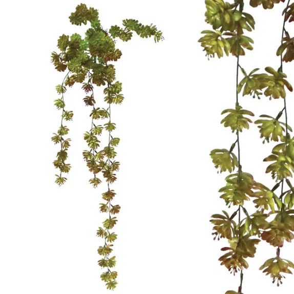 ΡΙΖΑ ΚΡΕΜΑΣΤΗ ΠΑΧΥΦΥΤΟ ΕΧΕΒΕΡΙΑ ΠΡΑΣΙΝΟ/ΚΑΦΕ 40x80/90cm 24/72ΚΙΒ – Δίνει premium χαρακτήρα στο περιβάλλον | iroots.gr