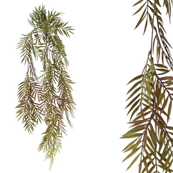 ΡΙΖΑ ΚΡΕΜΑΣΤΗ ΜΑΚΡΟΣΤΕΝΟ ΦΥΛΛΟ ΠΡΑΣΙΝΟ/ΚΑΦΕ 30xY80/85cm 24/96ΚΙΒ – Προσφέρει μοναδική αισθητική | iroots.gr