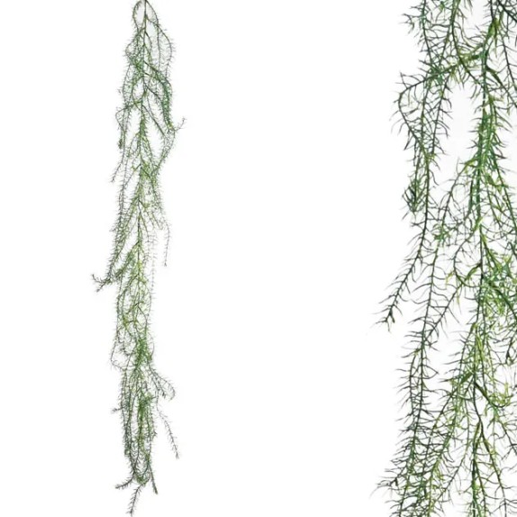 ΓΙΡΛΑΝΤΑ ΜΑΡΑΘΟΣ 60x150cm 36/144ΚΙΒ – Προσφέρει μοναδική αισθητική | iroots.gr