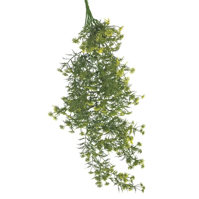 ΡΙΖΑ ΚΡΕΜΑΣΤΗ ME ΑΝΘΑΚΙA ΚΙΤΡΙΝΟ - 36/108ΚΙΒ – Αναβαθμίζει άμεσα τον χώρο σου | iroots.gr