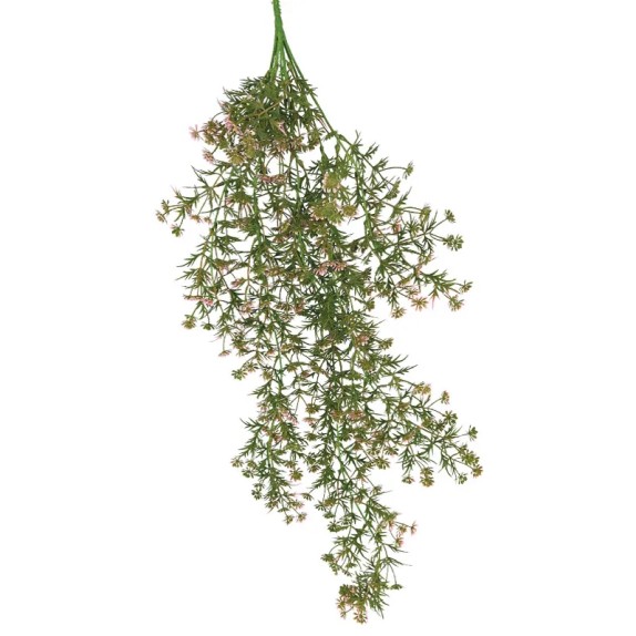 ΡΙΖΑ ΚΡΕΜΑΣΤΗ ME ΑΝΘΑΚΙA ΡΟΖ - 36/108ΚΙΒ – Δίνει premium χαρακτήρα στο περιβάλλον | iroots.gr