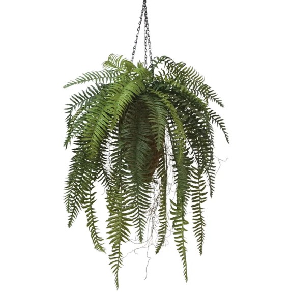 ΦΤΕΡΗ ΘΑΜΝΟΣ ΣΕ ΚΑΛΑΘΙ ΚΡΕΜΑΣΤΟ - Υ97cm 12/KΙΒ – Ταιριάζει σε κάθε μοντέρνο ή επαγγελματικό χώρο | iroots.gr