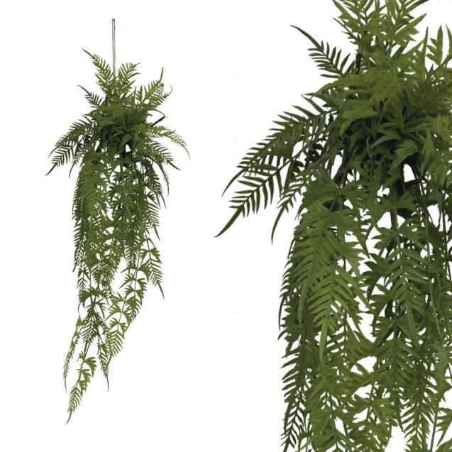 ΡΙΖΑ ΚΡΕΜΑΣΤΗ ΦΤΕΡΗ ΣΕ ΚΟΡΜΟ ΜΕ ΒΡΥΑ - Y142cm 24/KIB – Δημιουργεί αίσθηση πολυτέλειας χωρίς κόπο | iroots.gr