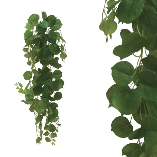 ΚΡΕΜΑΣΤΗ ΡΙΖΑ ΠΕΠΕΡΟΜΙΑ ΠΡΑΣΙΝΟ REAL TOUCH - Y76cm 12/120KIB – Δίνει premium χαρακτήρα στο περιβάλλον | iroots.gr