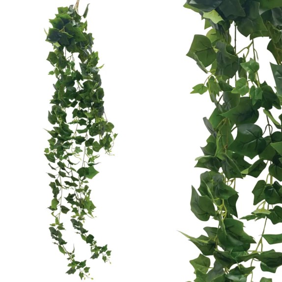 ΡΙΖΑ ΚΡΕΜΑΣΤΗ ΚΙΣΣΟΣ ΠΡΑΣΙΝΟΣ - Υ200cm 36/KΙΒ – Προσφέρει μοναδική αισθητική | iroots.gr