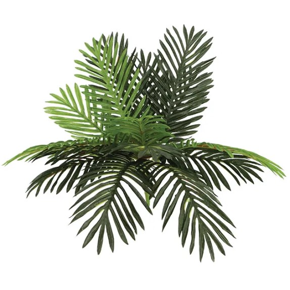 ΡΙΖΑ ΦΥΛΛΟ ΤΣΙΚΑΣ Y55cm 12/72KIB – Προσφέρει μοναδική αισθητική | iroots.gr