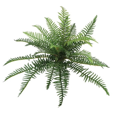 ΔΙΑΚΟΣΜΗΤΙΚΗ ΚΡΕΜΑΣΤΗ ΡΙΖΑ ΦΤΕΡΗ ΓΙΓΑΣ - Υ77cm 12/60KΙΒ – Ταιριάζει σε κάθε μοντέρνο ή επαγγελματικό χώρο | iroots.gr