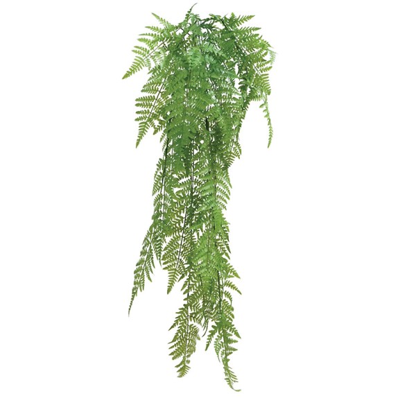 ΡΙΖΑ ΚΡΕΜΑΣΤΗ ΦΤΕΡΗ ΠΡΑΣΙΝΟ - Υ120cm 30/120ΚΙΒ – Δίνει premium χαρακτήρα στο περιβάλλον | iroots.gr