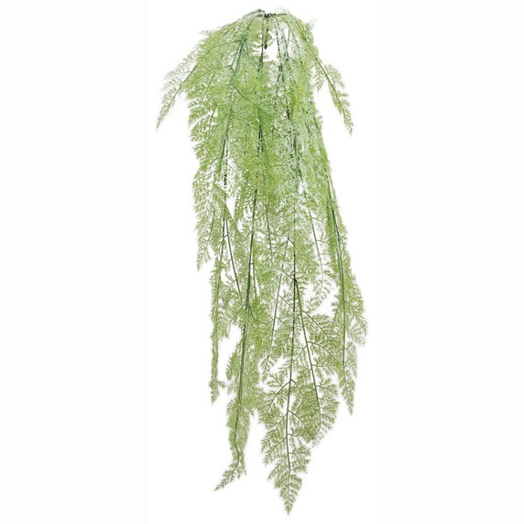 ΡΙΖΑ ΚΡΕΜΑΣΤΗ ΦΤΕΡΗ ΛΑΧΑΝΙ - Υ130cm 40/160ΚΙΒ – Προσφέρει μοναδική αισθητική | iroots.gr