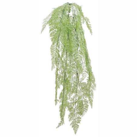 ΡΙΖΑ ΚΡΕΜΑΣΤΗ ΦΤΕΡΗ ΛΑΧΑΝΙ - Υ130cm 40/160ΚΙΒ – Προσφέρει μοναδική αισθητική | iroots.gr