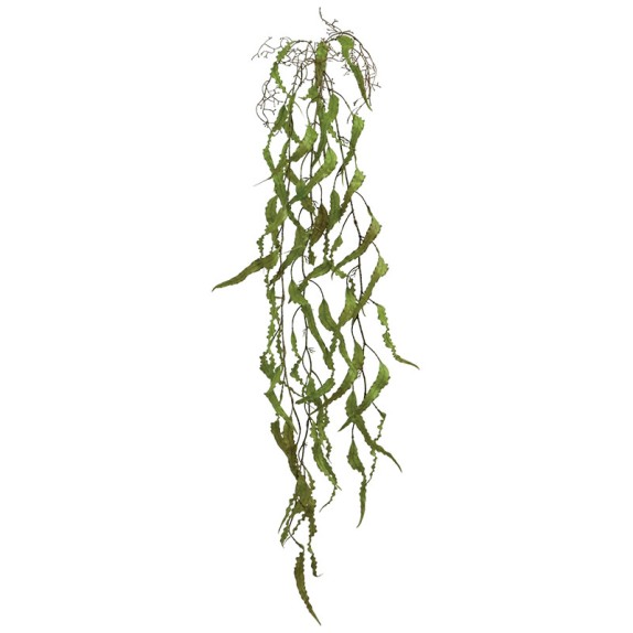 ΡΙΖΑ ΚΡΕΜΑΣΤΗ ΧΑΠΕΡΖΙΑ ΚΑΦΕ/ΠΡΑΣΙΝΟ - Υ136cm 36/144ΚΙΒ – Προσφέρει μοναδική αισθητική | iroots.gr