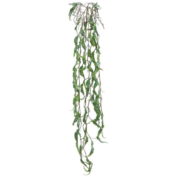 ΡΙΖΑ ΚΡΕΜΑΣΤΗ ΧΑΠΕΡΖΙΑ ΛΑΧΑΝΙ - Υ136cm 36/144ΚΙΒ – Δημιουργεί αίσθηση πολυτέλειας χωρίς κόπο | iroots.gr