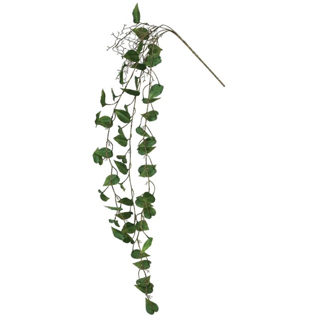 ΡΙΖΑ ΚΡΕΜΑΣΤΗ ΜΟΝΣΤΕΡΑ ΣΚΟΥΡΟ ΠΡΑΣΙΝΟ - Y125cm 36/144ΚΙΒ – Προσφέρει μοναδική αισθητική | iroots.gr