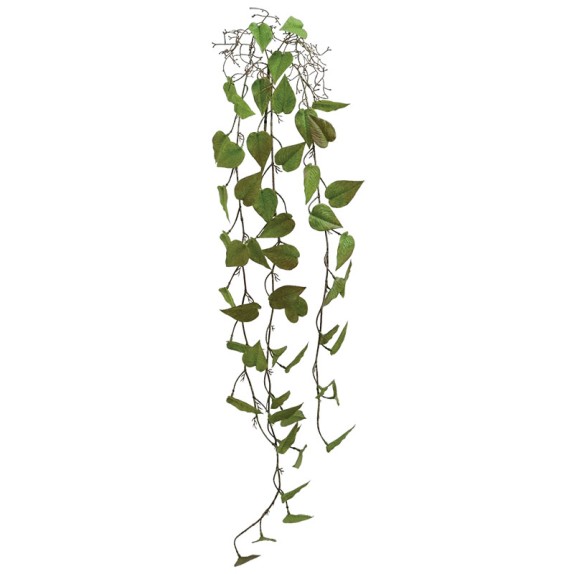 ΡΙΖΑ ΚΡΕΜΑΣΤΗ ΜΟΝΣΤΕΡΑ ΚΑΦΕ/ΠΡΑΣΙΝΟ - Y125cm 36/144ΚΙΒ – Δίνει premium χαρακτήρα στο περιβάλλον | iroots.gr