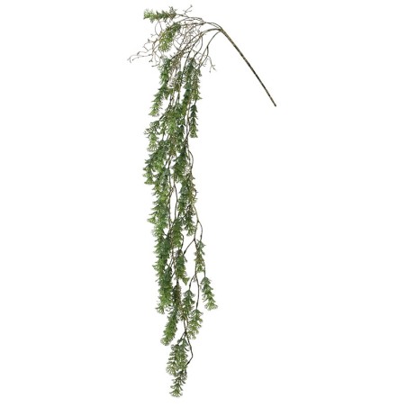 ΡΙΖΑ ΚΡΕΜΑΣΤΗ ΦΤΕΡΗ ΣΚΟΥΡΟ ΠΡΑΣΙΝΟ - Y130cm 36/216ΚΙΒ – Δίνει premium χαρακτήρα στο περιβάλλον | iroots.gr