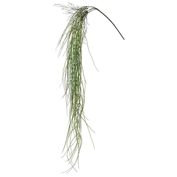 ΡΙΖΑ ΚΡΕΜΑΣΤΗ ΓΚΡΑΣΣ ΠΡΑΣΙΝΟ - Y134cm 48/192ΚΙΒ – Προσφέρει μοναδική αισθητική | iroots.gr