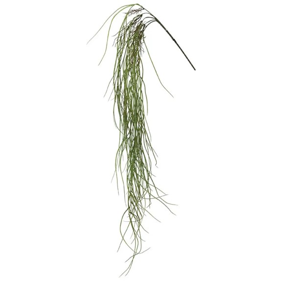 ΡΙΖΑ ΚΡΕΜΑΣΤΗ ΓΚΡΑΣΣ ΠΡΑΣΙΝΟ/ΚΑΦΕ - Y134cm 48/192ΚΙΒ – Δημιουργεί αίσθηση πολυτέλειας χωρίς κόπο | iroots.gr