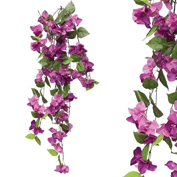 ΡΙΖΑ ΚΡΕΜΑΣΤΗ ΜΩΒ ΛΟΥΛΟΥΔΙΩΝ ΒΟΥΚΑΜΒΙΛΙΑΣ - Y122cm 12/72KIB – Προσφέρει μοναδική αισθητική | iroots.gr