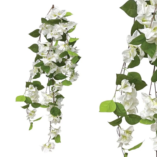 ΡΙΖΑ ΚΡΕΜΑΣΤΗ ΛΕΥΚΟ ΛΟΥΛΟΥΔΙΩΝ ΒΟΥΚΑΜΒΙΛΙΑΣ - Y122cm 12/72KIB – Αναβαθμίζει άμεσα τον χώρο σου | iroots.gr