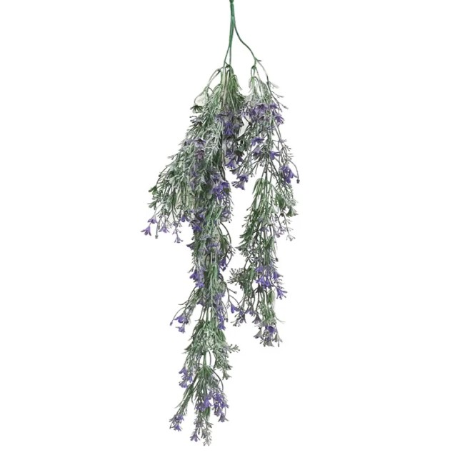 ΡΙΖΑ ΚΡΕΜΑΣΤΗ ΜΩΒ ΛΕΒΑΝΤΑ ΠΡΑΣΙΝΑΔΑ - Υ80cm 3/48ΚΙΒ – Δημιουργεί αίσθηση πολυτέλειας χωρίς κόπο | iroots.gr