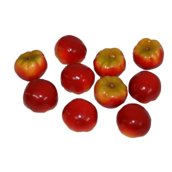 ΤΕΧΝΗΤΕΣ ΜΙΚΡΕΣ ΝΤΟΜΑΤΕΣ ΣΕΤ/12 - Υ3cm – Αναβαθμίζει άμεσα τον χώρο σου | iroots.gr