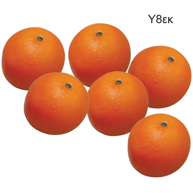 ΤΕΧΝΗΤΑ ΠΟΡΤΟΚΑΛΙA ΣΕΤ/6 ΟΙΚΟΛΟΓΙΚA - Φ8x8cm – Προσφέρει μοναδική αισθητική | iroots.gr