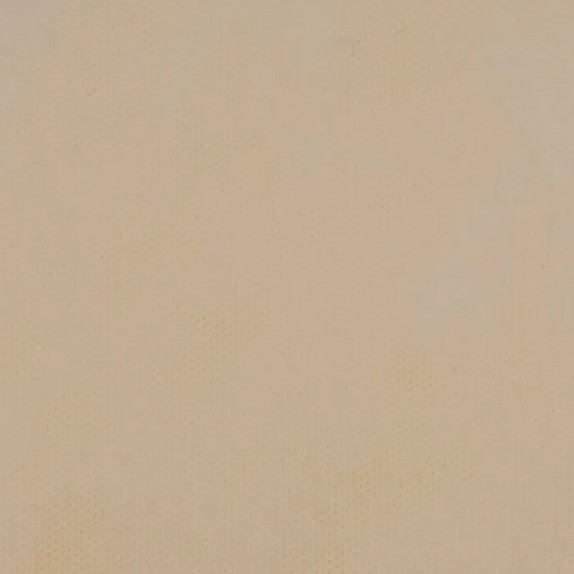 ΡΟΛΟ ΠΑΝΙ ΡΡL (NON WOVEN) ΣΑΜΠΑΝΙ 60cm X 18m – Αναβαθμίζει άμεσα τον χώρο σου | iroots.gr