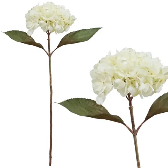 ΧΡΙΣΤΟΥΓ. ΚΛΑΔΙ ΟΡΤΑΝΣΙΑ ΣΑΜΠΑΝΙ 65cm. 12/120 ΚΙΒ – Προσφέρει μοναδική αισθητική | iroots.gr