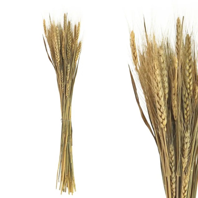 ΚΛΑΔΙ ΦΥΣΙΚΟ ΣΤΑΧΥ ΑΠΟΞΗΡΑΜΕΝΟ ~50ΤΕΜ/ΜΑΤΣΟ - Υ73cm 1/150ΚΙΒ – Αναβαθμίζει άμεσα τον χώρο σου | iroots.gr