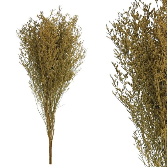 ΚΛΑΔΙ ΚΑΦΕ ΛΕΙΜΩΝΙΟ ΑΠΟΞΗΡΑΜΕΝΟ 3~5 ΤΜΧ/ΜΑΤΣΟ - Υ80~90cm, Υ50~60cm ΤΟ ΑΝΘΟΣ, 100/ΚΙΒ – Αναβαθμίζει άμεσα τον χώρο σου | iroots.g