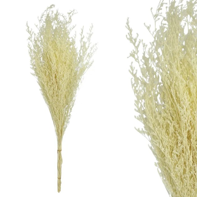 ΚΛΑΔΙ ΕΚΡΟΥ ΛΕΙΜΩΝΙΟ ΑΠΟΞΗΡΑΜΕΝΟ 3~5 ΤΜΧ/ΜΑΤΣΟ Υ80~90cm, Υ50~60cm ΤΟ ΑΝΘΟΣ, 100/ΚΙΒ – Αναβαθμίζει άμεσα τον χώρο σου | iroots.gr